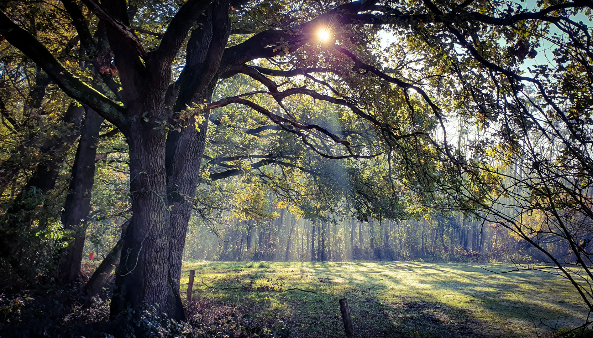 Der Morgen des Hubertus Tages