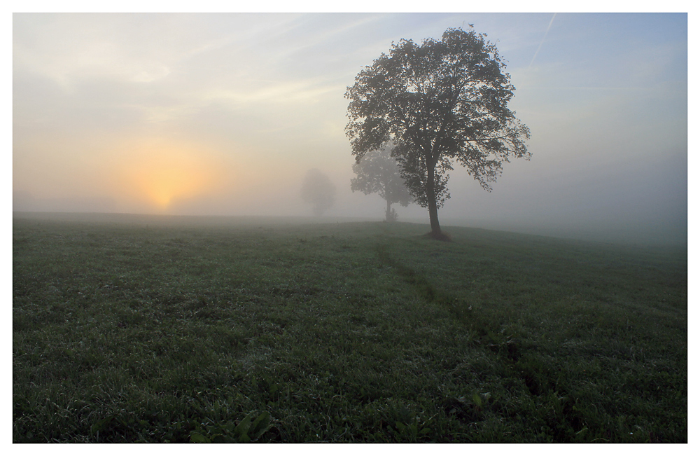 Der Morgen erwacht ...