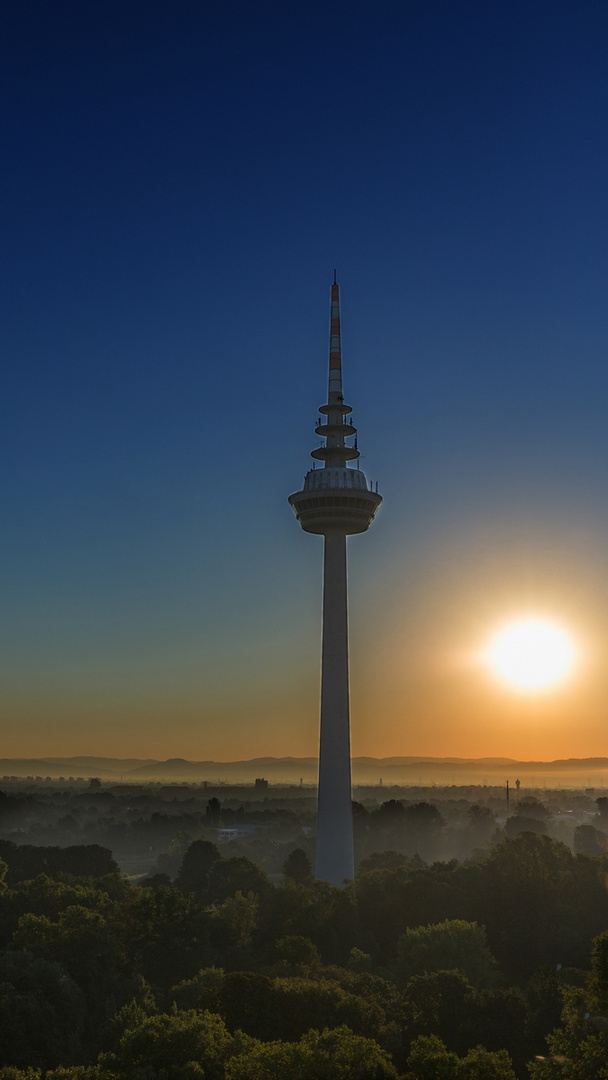 Der Morgen erwacht