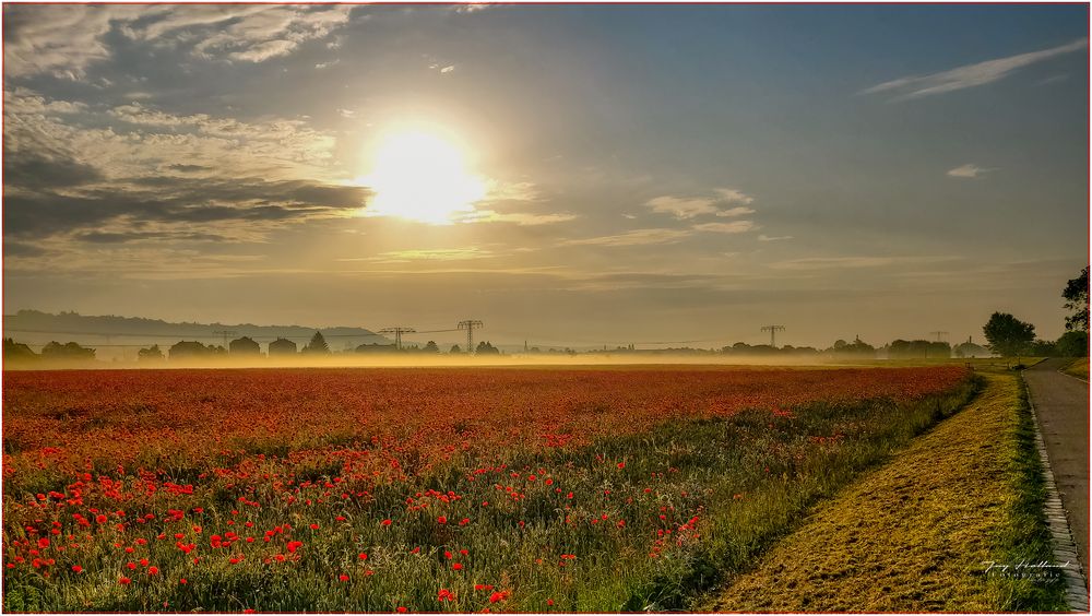 Der Morgen erwacht