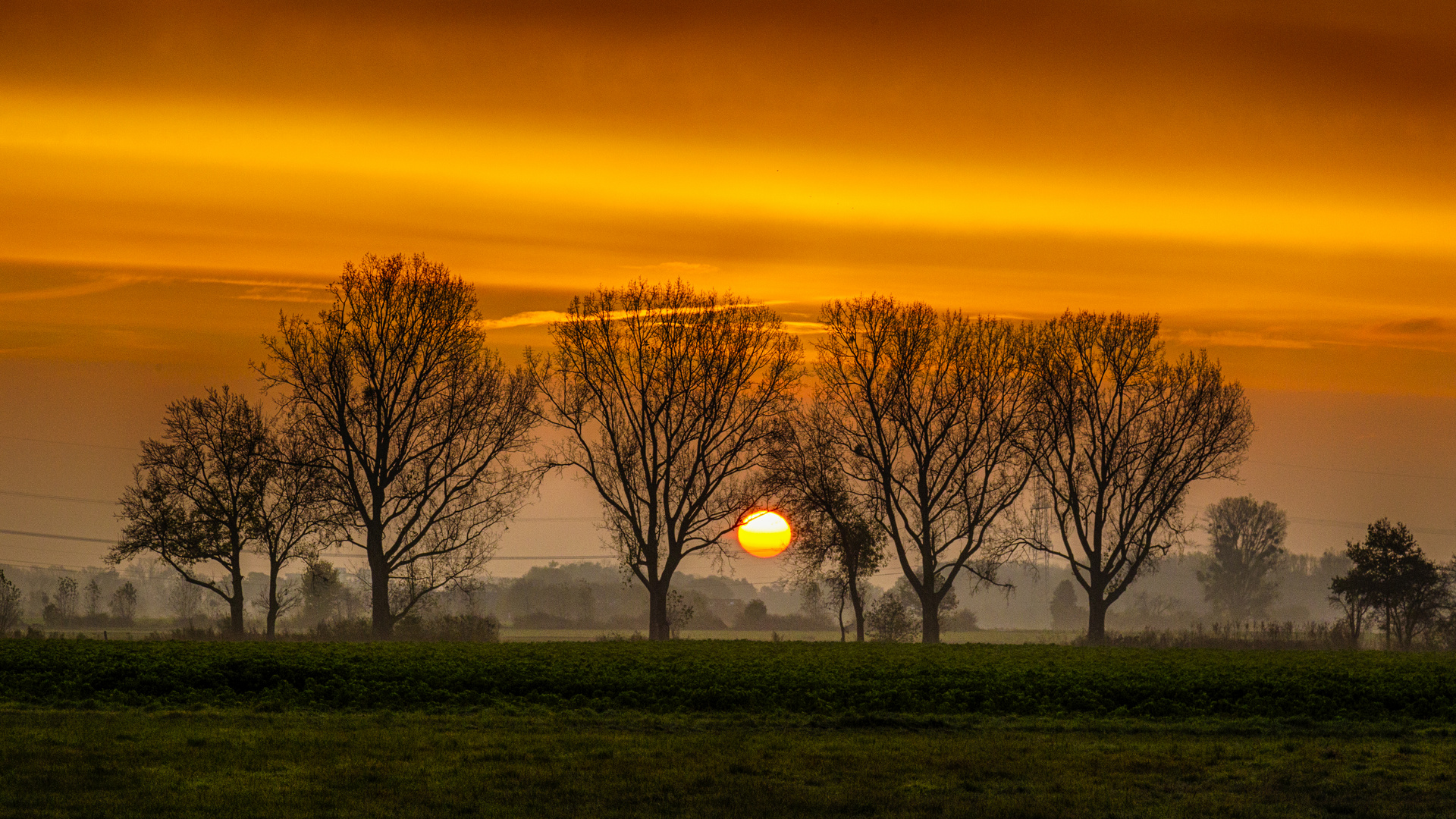 Der Morgen erwacht