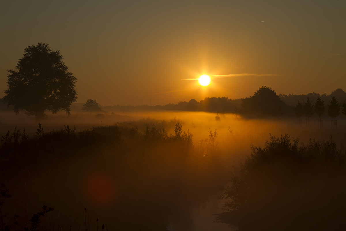 Der Morgen erwacht