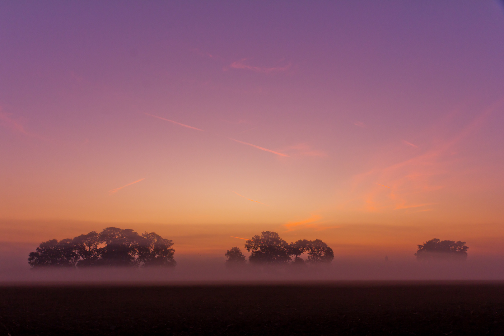 Der Morgen erwacht