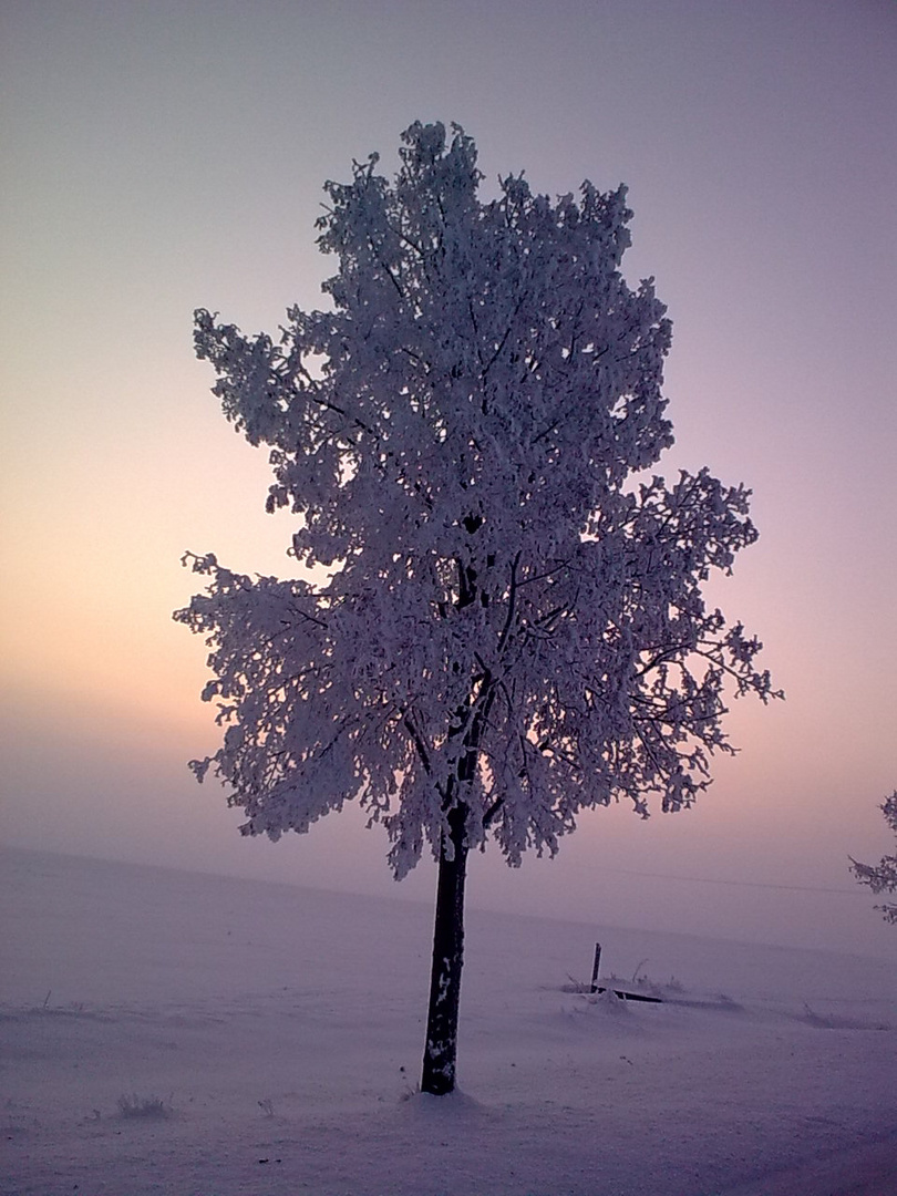 Der Morgen erwacht