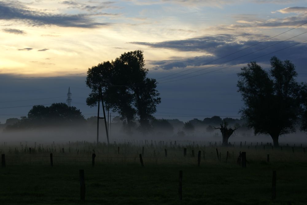 Der Morgen Erwacht am Niederrhein