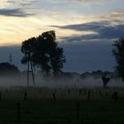 Der Morgen Erwacht am Niederrhein