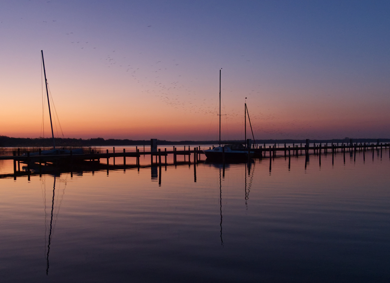 Der Morgen erwacht  am Steinhuder Meer