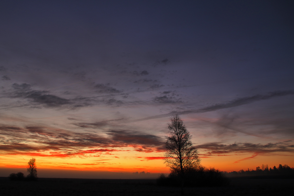 der Morgen erwacht aus dem Schlaf