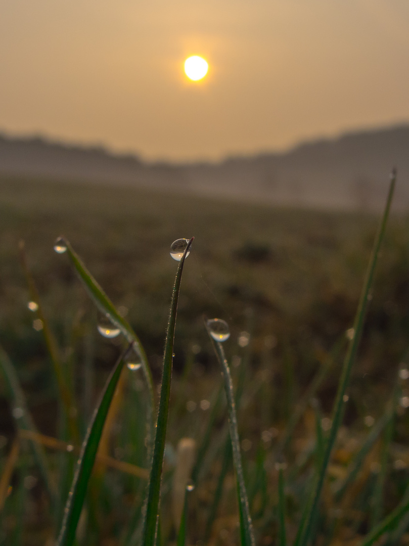 Der Morgen erwacht