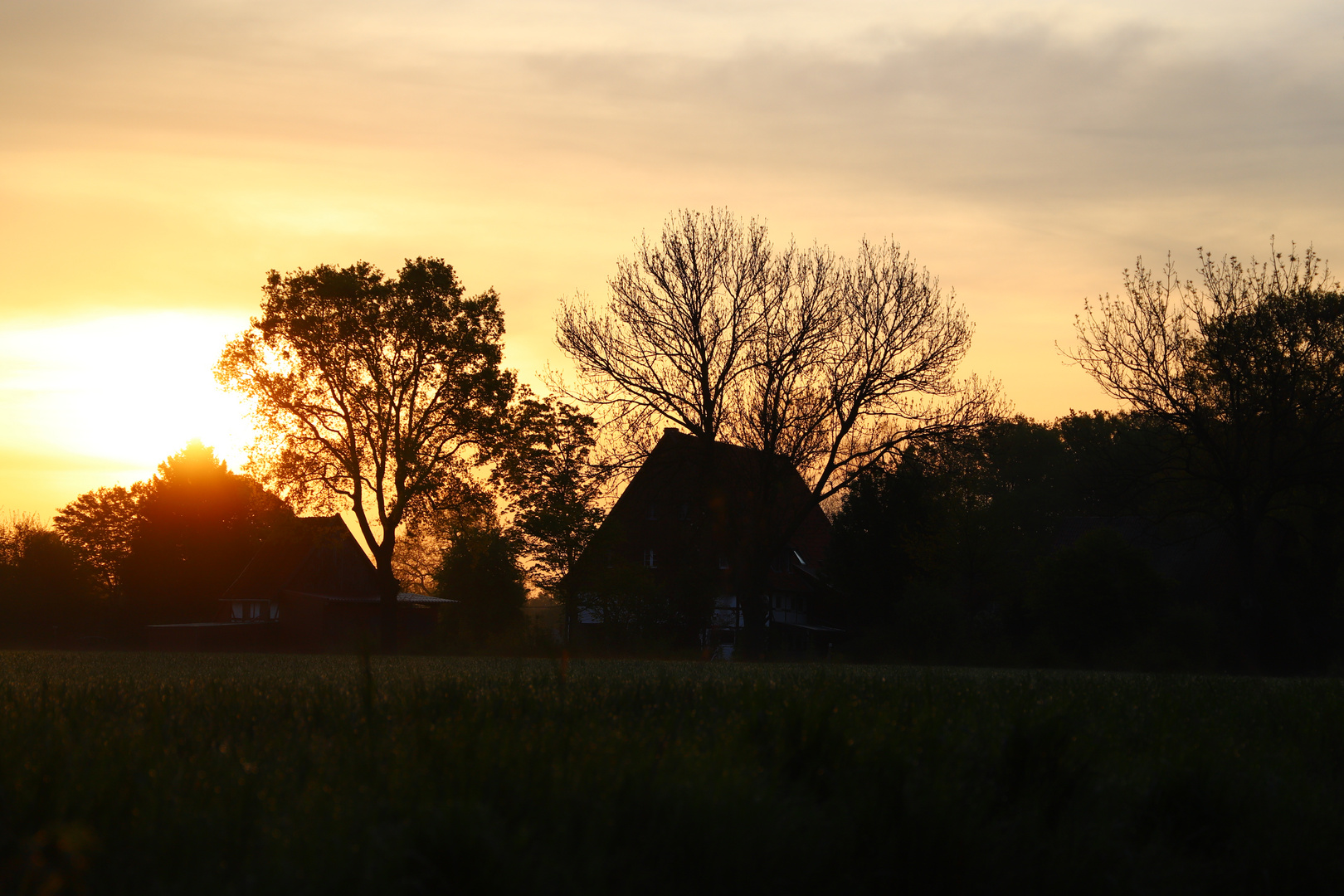 der Morgen erwacht