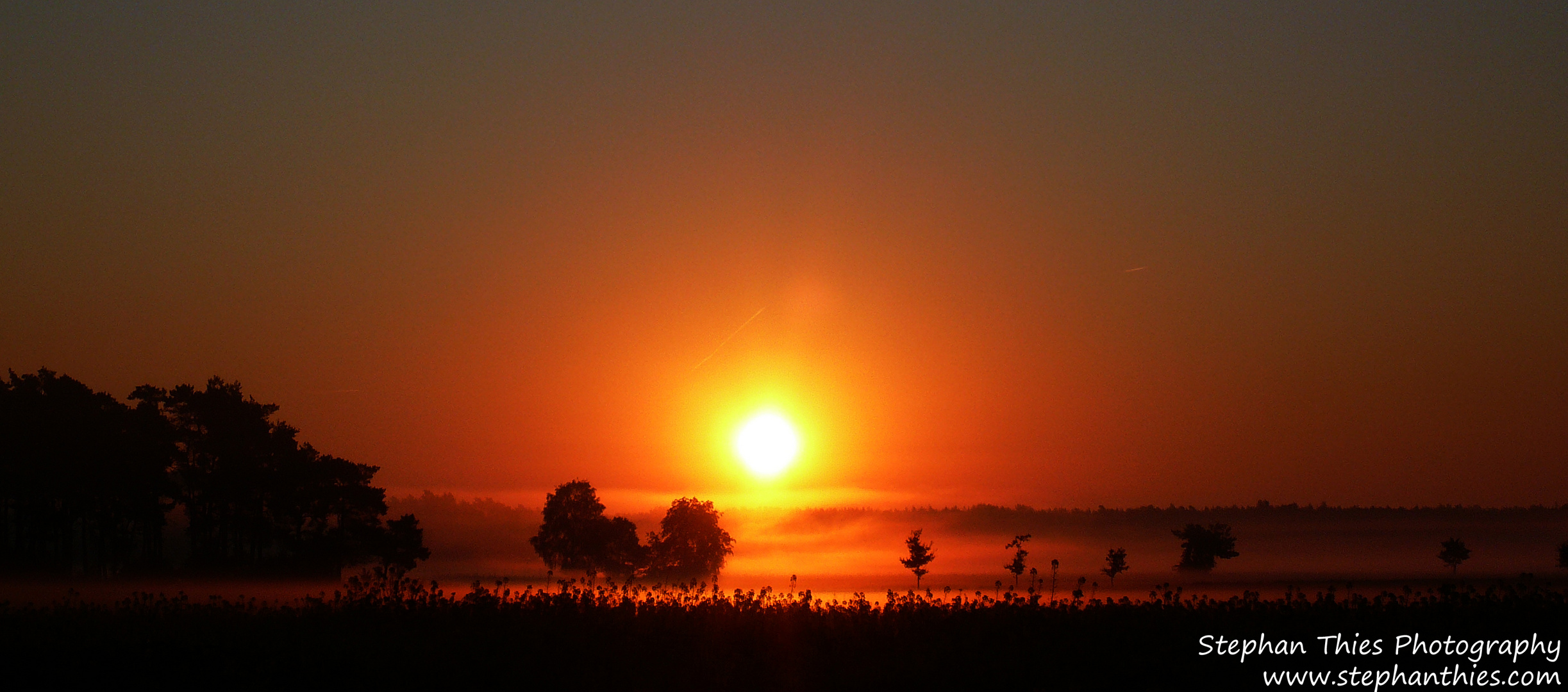 der morgen erwacht!