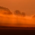 Der Morgen erwacht im goldenen Licht