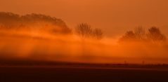 Der Morgen erwacht im goldenen Licht