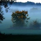 Der morgen erwacht im Nebelschleier...