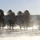 Der Morgen erwacht - im Yellowstone Nationalpark