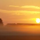 Der Morgen erwacht und die Bahn kommt ....