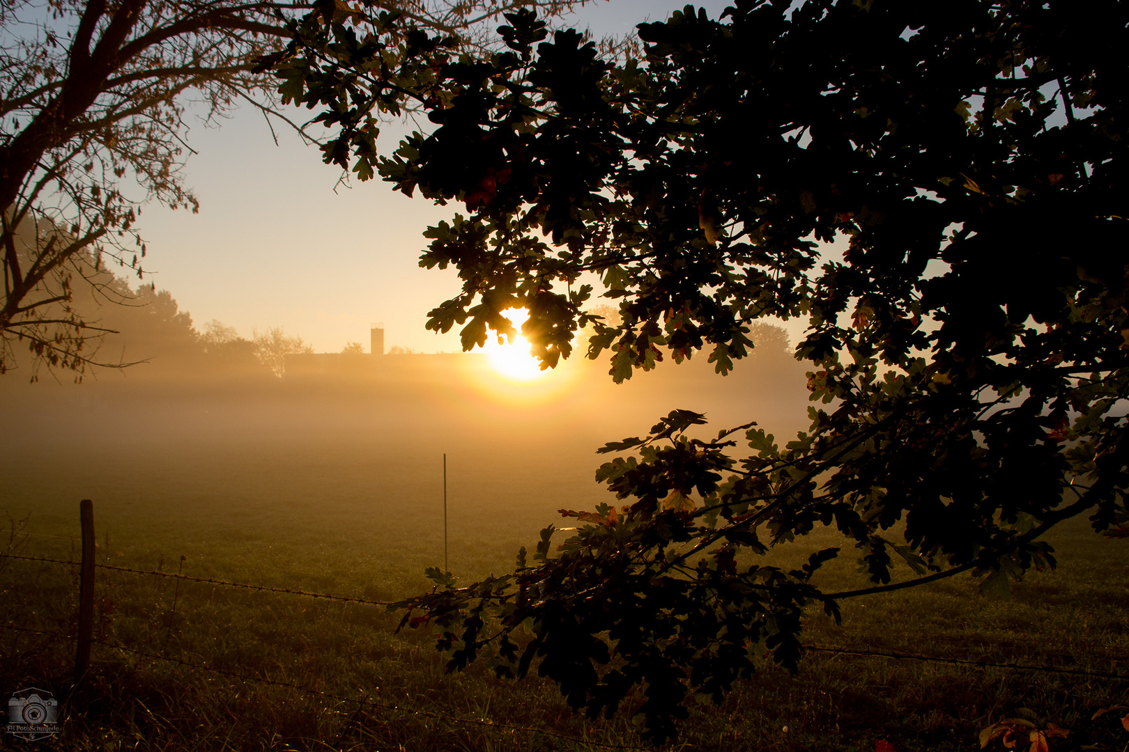 Der Morgen im Nebel