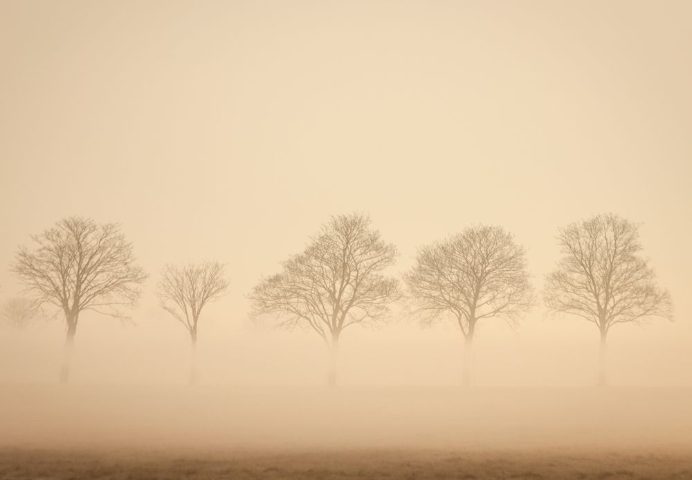 Der Morgen in Pastell II