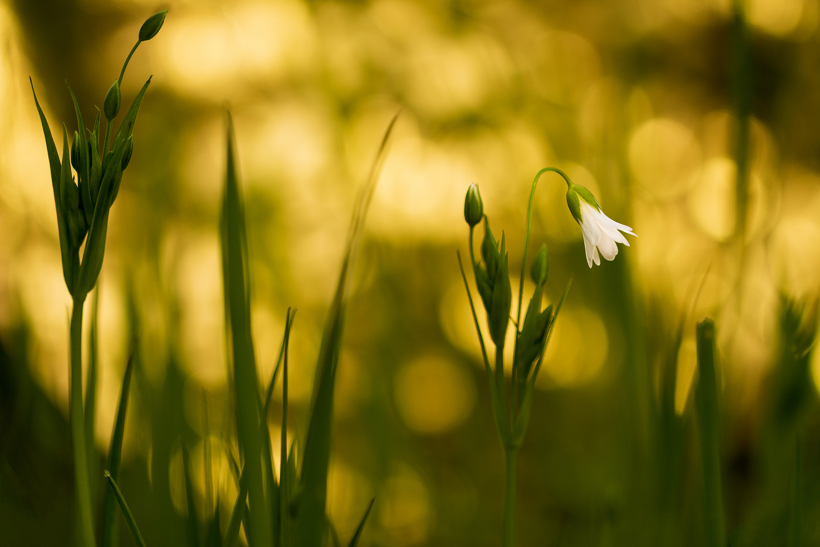 Der Morgen ist angebrochen