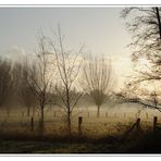 Der Morgen nach dem ersten Frost