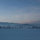 Der Morgen nach dem ersten Schnee