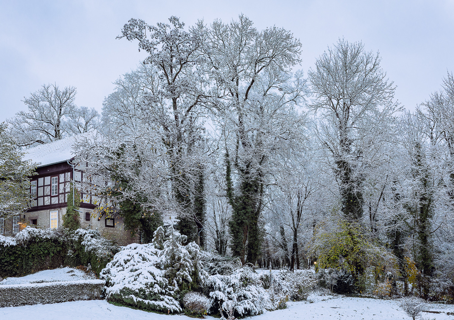 Der Morgen nach dem ersten Schnee