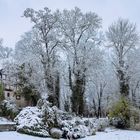 Der Morgen nach dem ersten Schnee