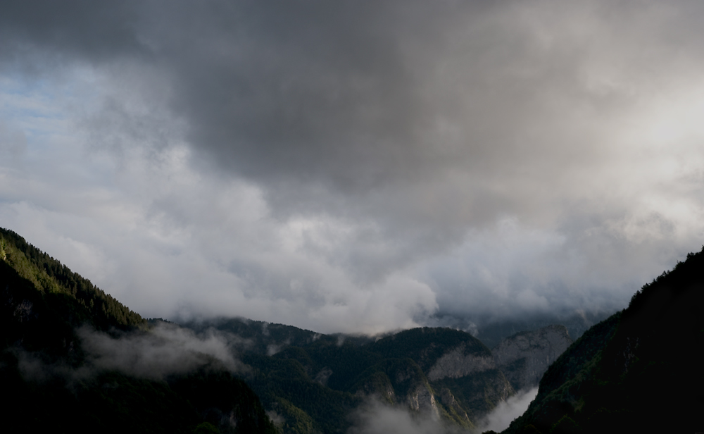 Der Morgen nach dem Gewitter