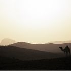 Der Morgen nach dem Sandsturm