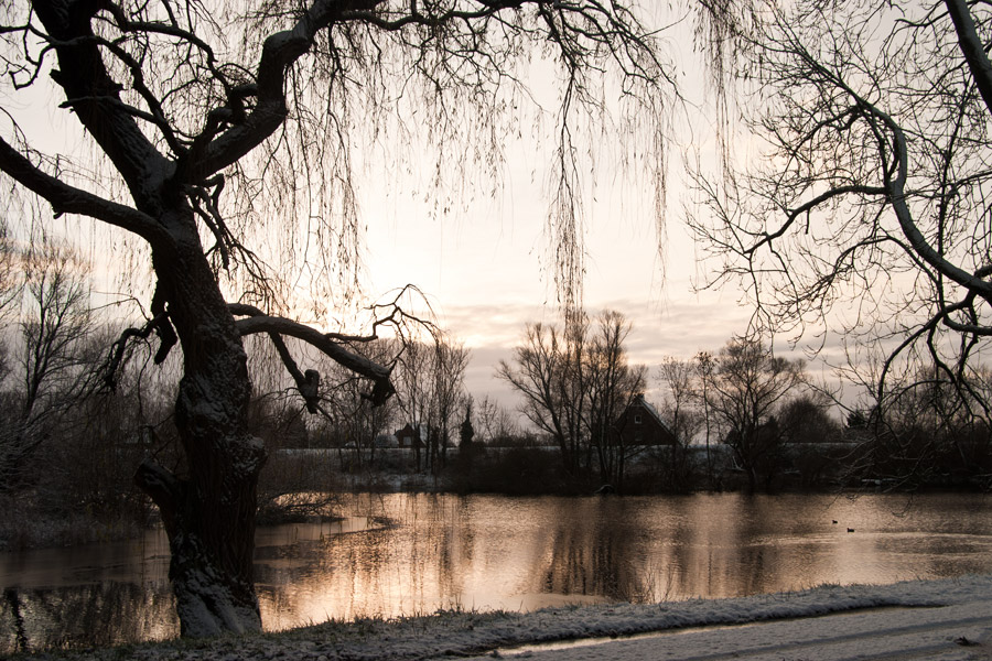 .. der ... Morgen ... nach ... dem ... Sturm ...