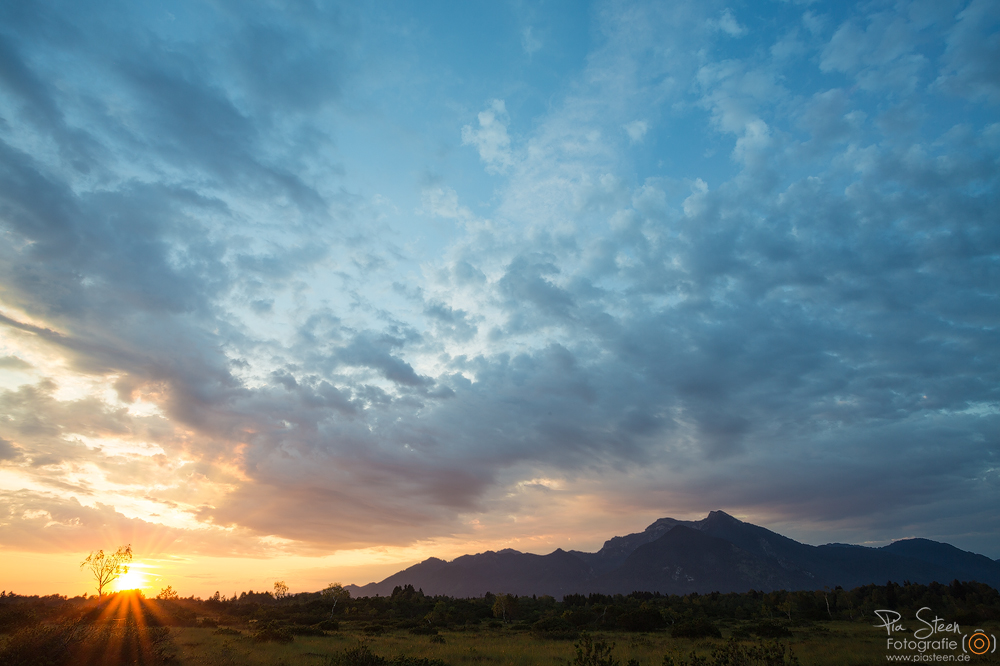 Der Morgen nach dem Sturm