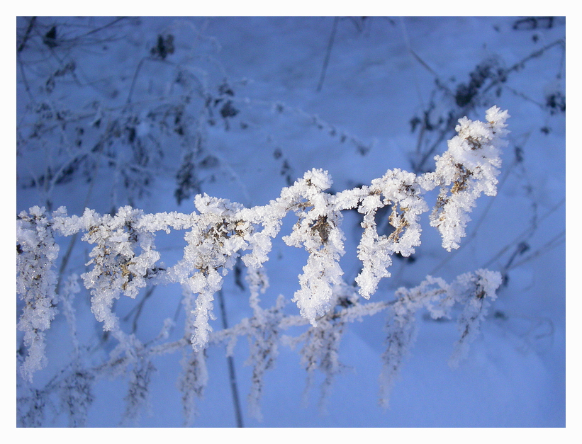 ....der Morgen nach einer eisigen Winternacht.