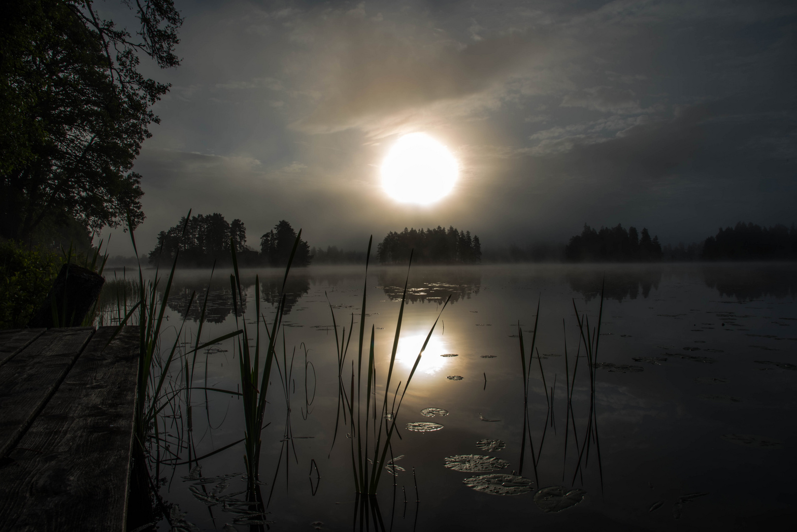 Der Morgen nach Midsommar