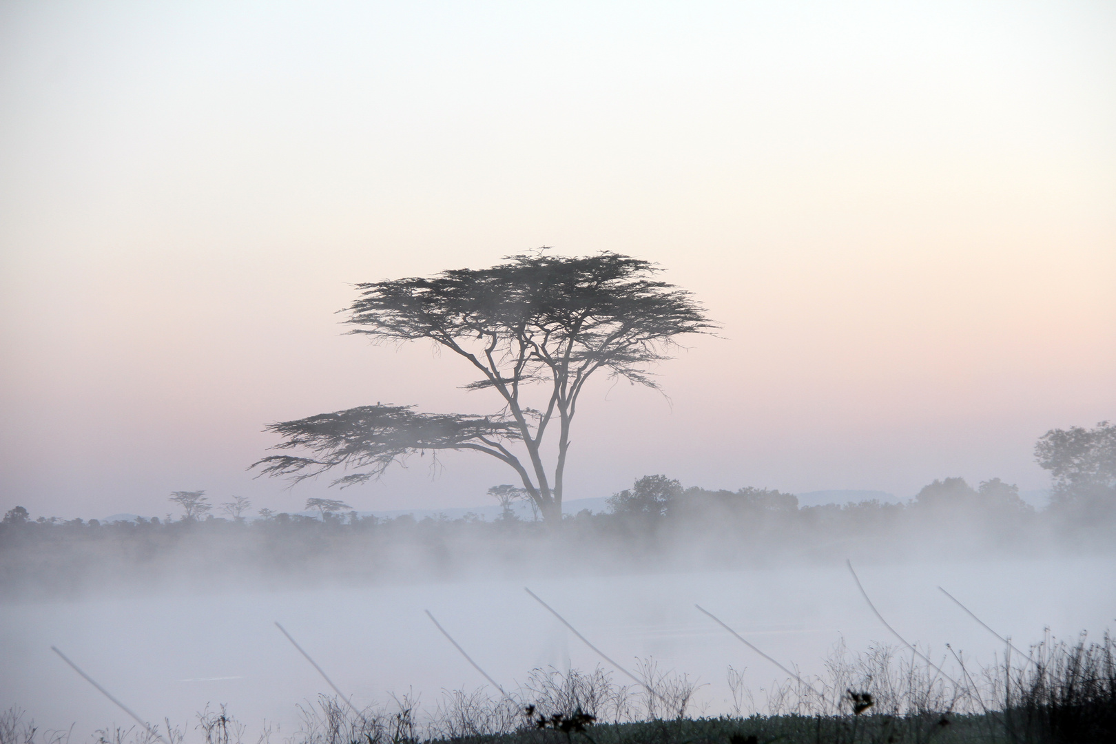 der Morgen präsentierte sich im leichten Nebel und herrlichem Licht