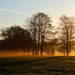 Der Morgen tastet sich voran im Kriechgang