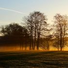 Der Morgen tastet sich voran im Kriechgang