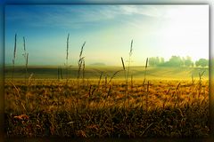 Der Morgen vertreibt die Nacht