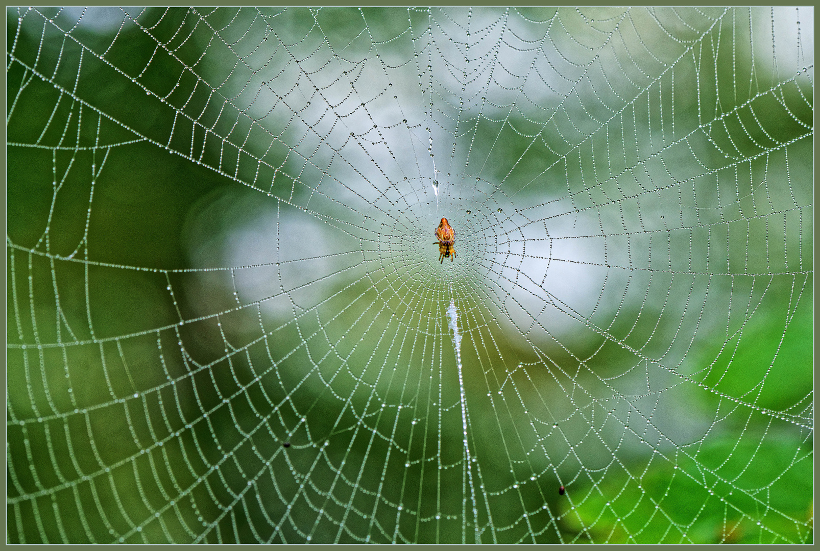 Der Morgen war kalt und feucht