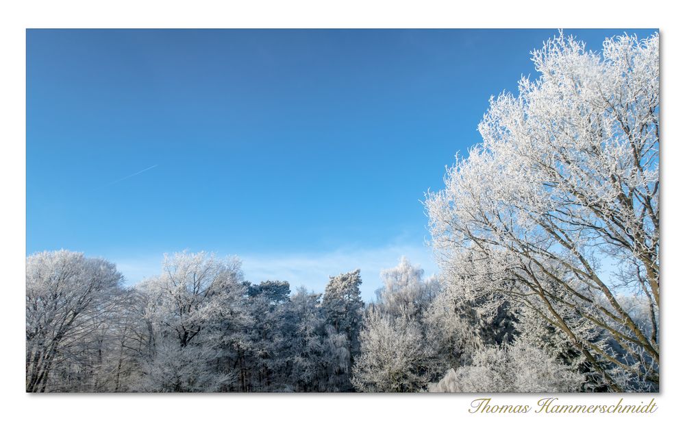 Der morgendliche Blick aus dem Wohnzimmerfenster...