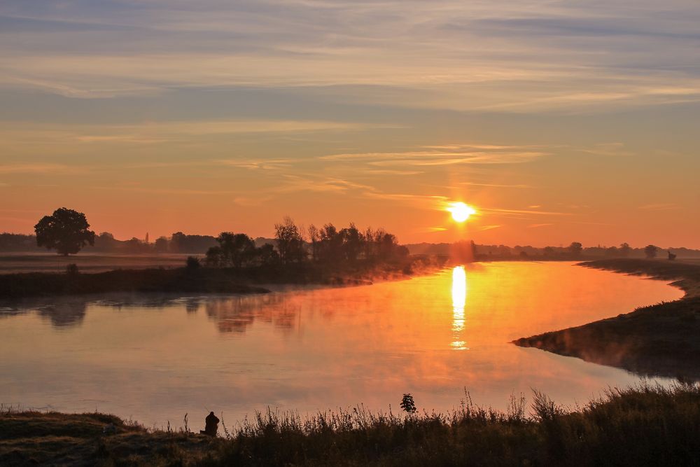 Der Morgenfänger