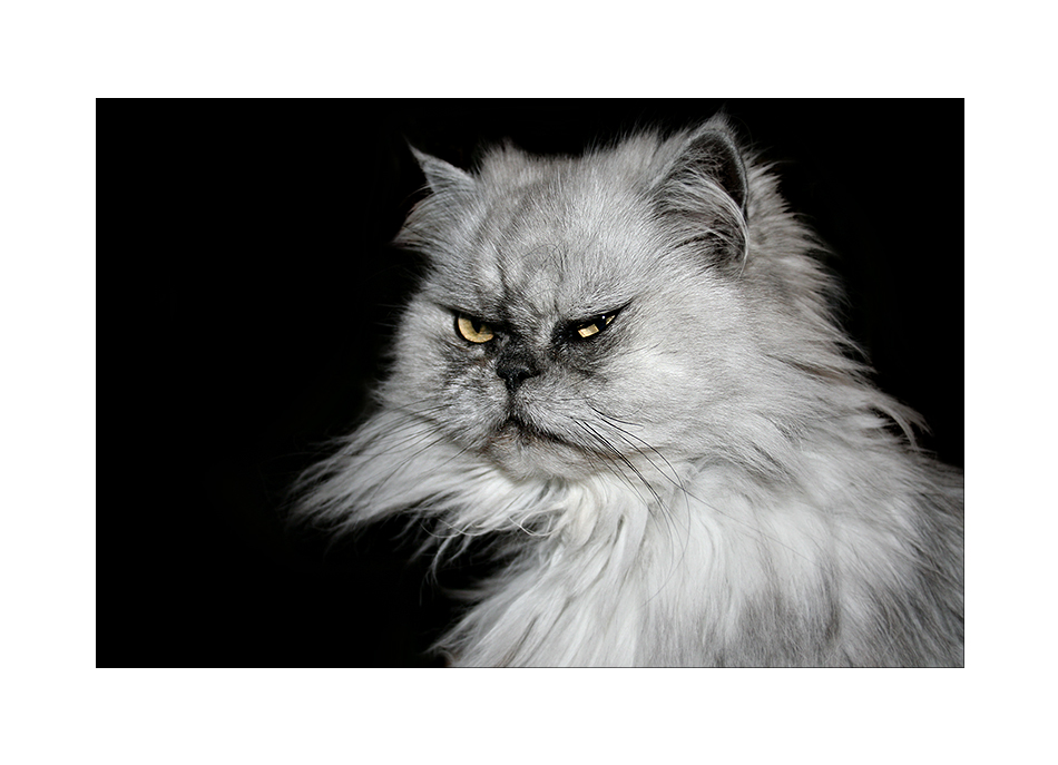 Der Foto & Bild emotionen, spezial Bilder auf