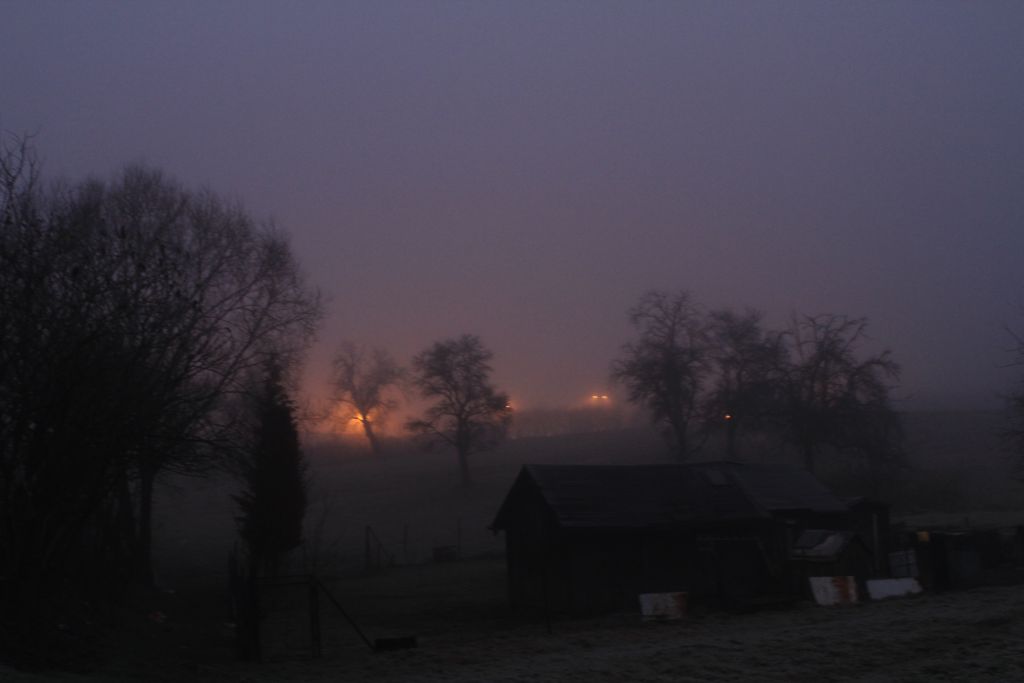 Der Morgennebel