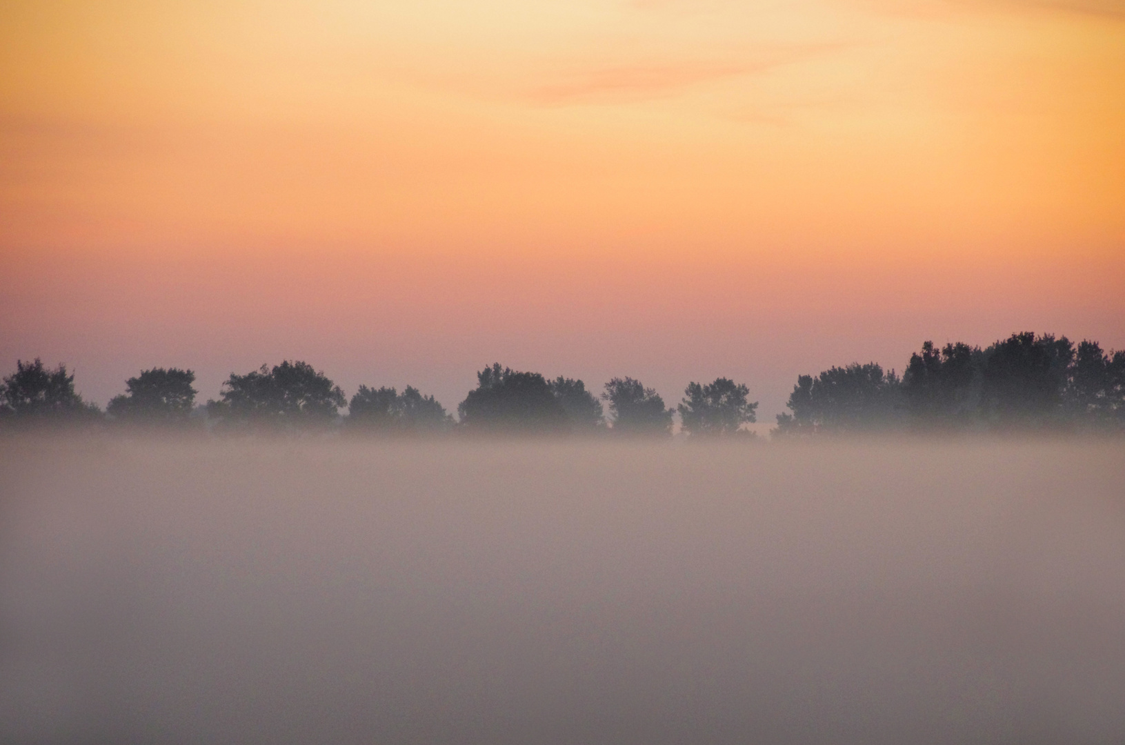 Der Morgennebel