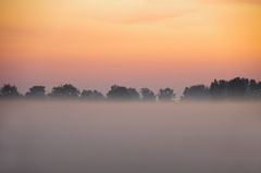 Der Morgennebel