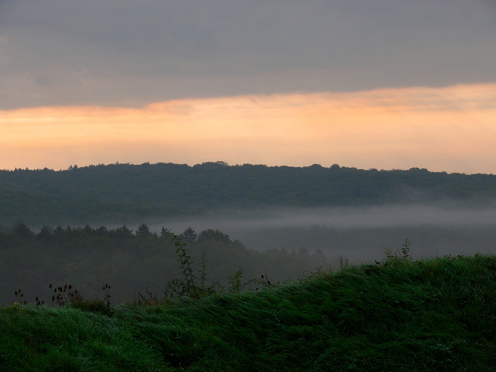 der Morgennebel