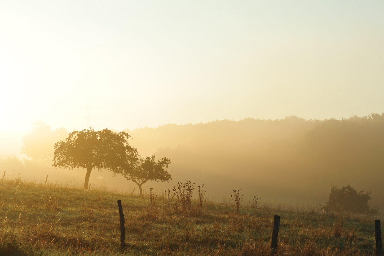 der Morgennebel kämpft gegen die Sonne an