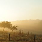 der Morgennebel kämpft gegen die Sonne an