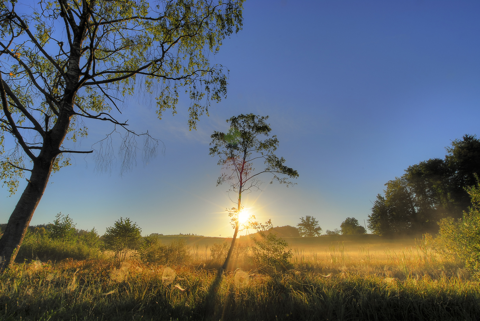 Der Morgennebel lichtet sich