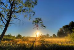 Der Morgennebel lichtet sich
