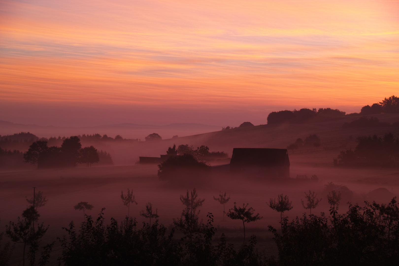 der Morgennebel zieht aus dem Tal hinauf